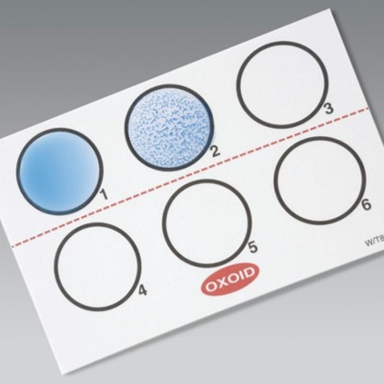 Oxoid Legionella Latex Test